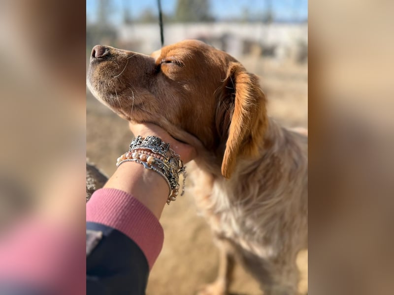 Hier kommt der wundervolle Argo!