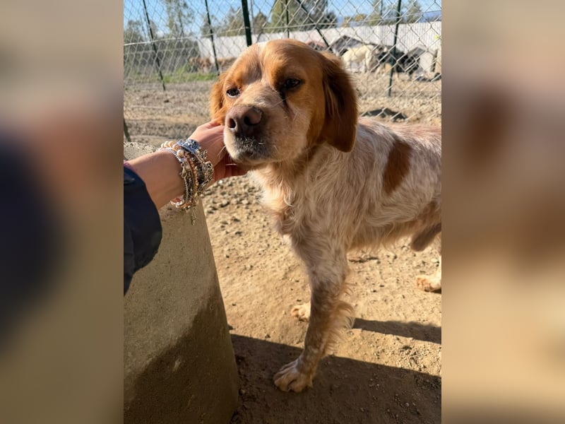 Hier kommt der wundervolle Argo!