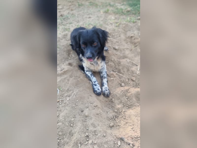 Timmy - In letzter Minute gerettet