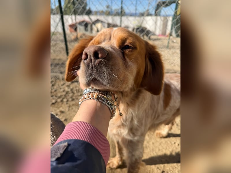 Hier kommt der wundervolle Argo!