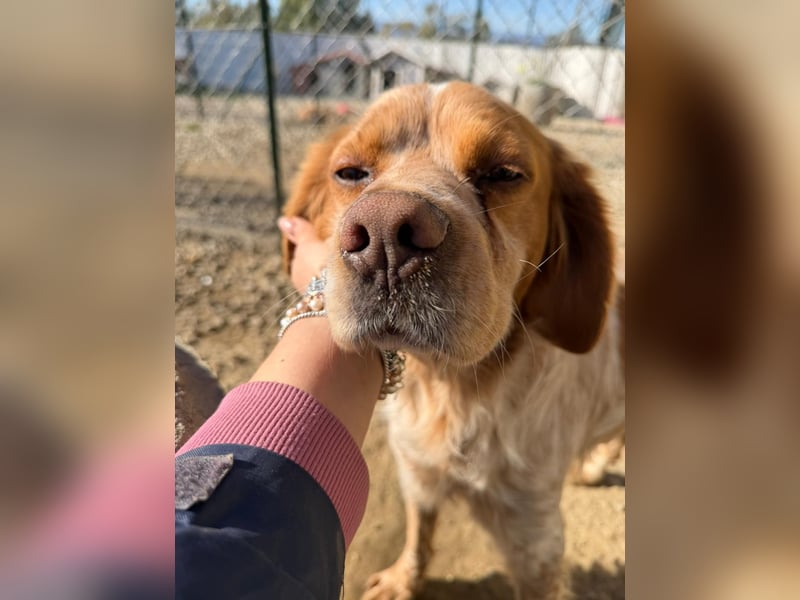 Hier kommt der wundervolle Argo!