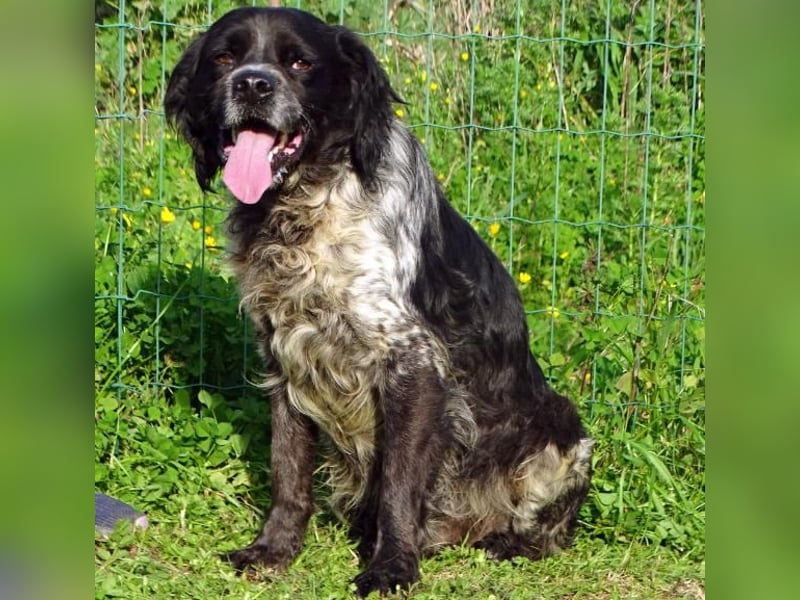 Xico – ein unkomplizierter Begleiter