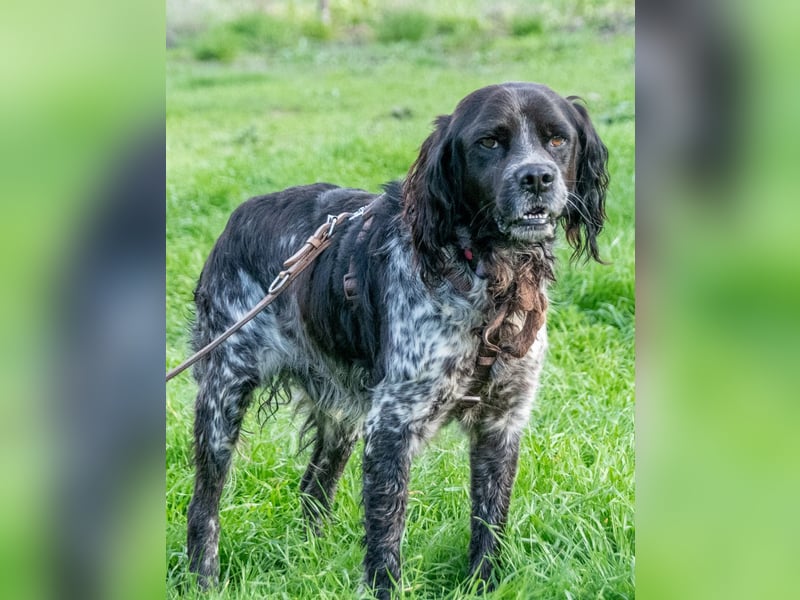 Xico – ein unkomplizierter Begleiter