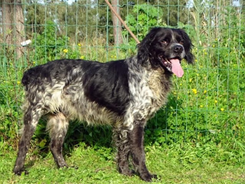 Xico – ein unkomplizierter Begleiter