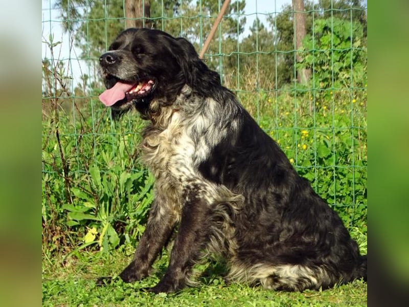 Xico – ein unkomplizierter Begleiter