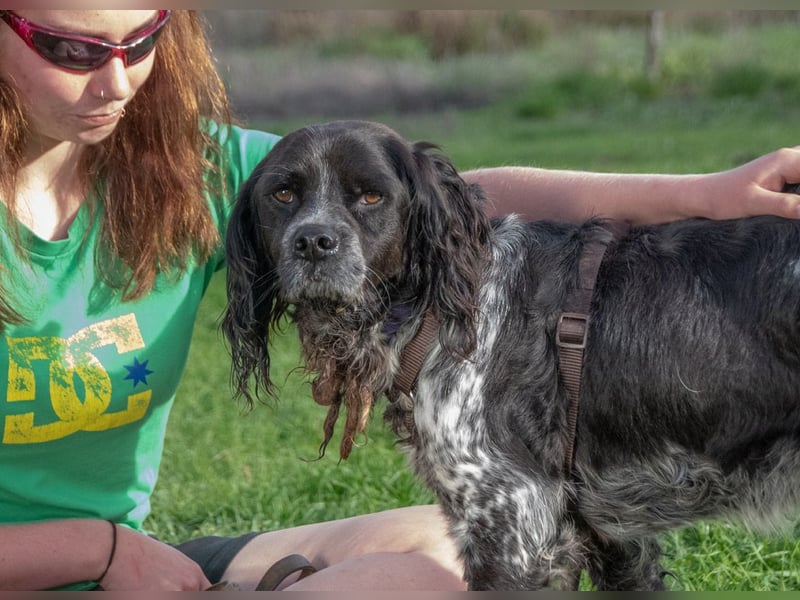 Xico – ein unkomplizierter Begleiter