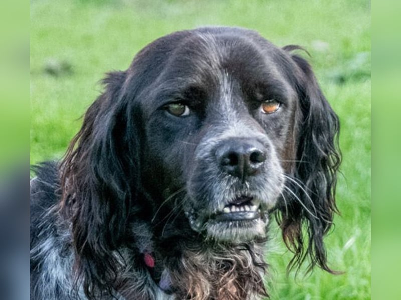 Xico – ein unkomplizierter Begleiter