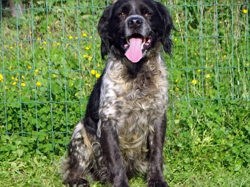 Xico – ein unkomplizierter Begleiter