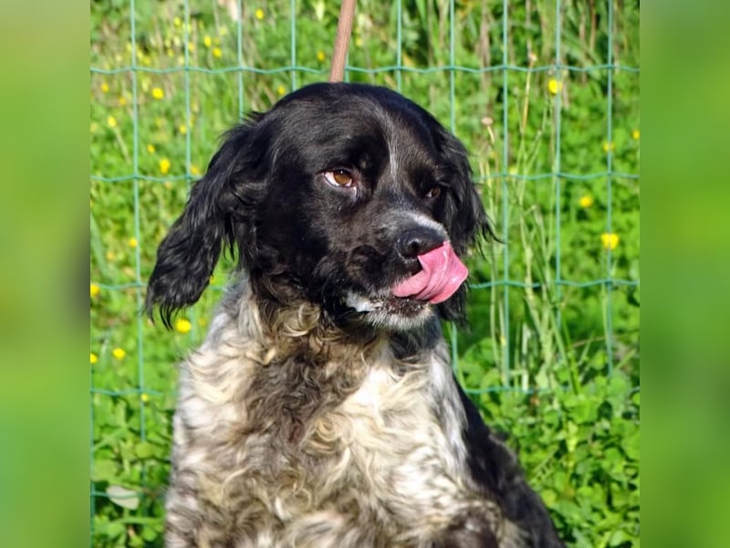 Xico – ein unkomplizierter Begleiter