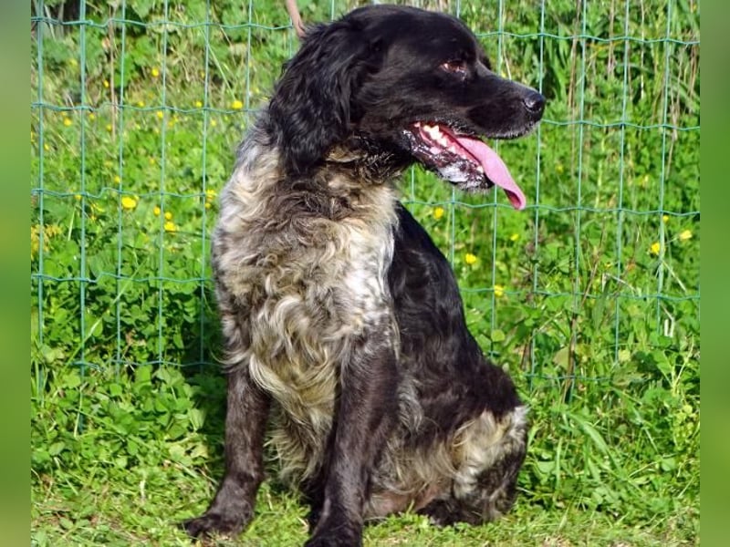 Xico – ein unkomplizierter Begleiter