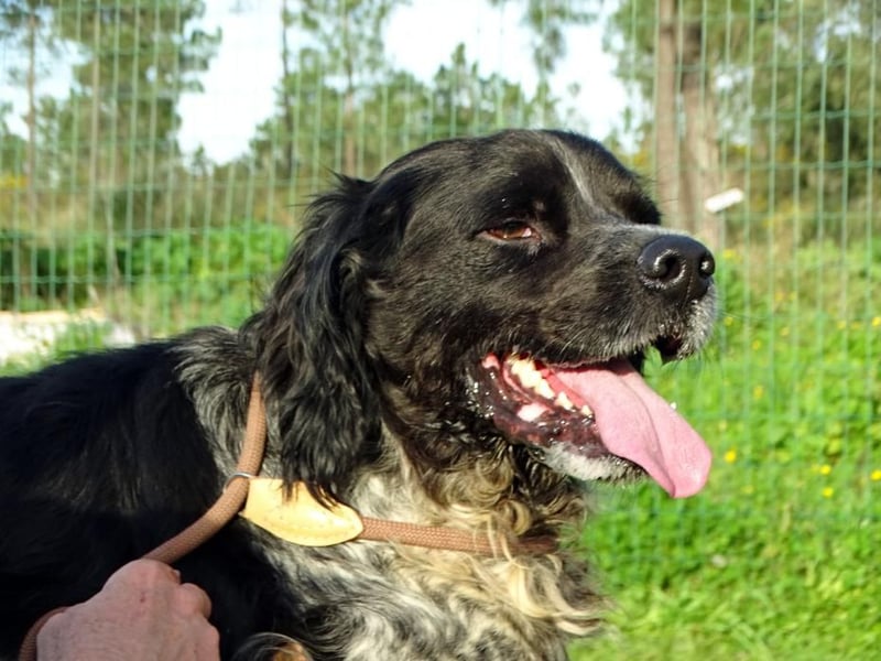 Xico – ein unkomplizierter Begleiter