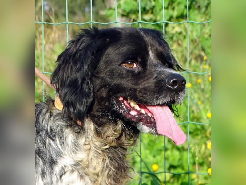 Xico – ein unkomplizierter Begleiter