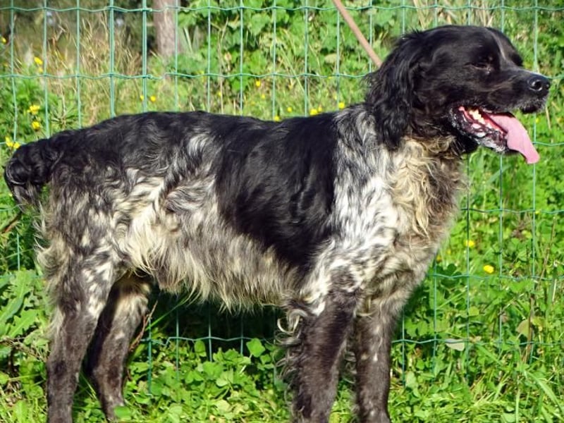 Xico – ein unkomplizierter Begleiter