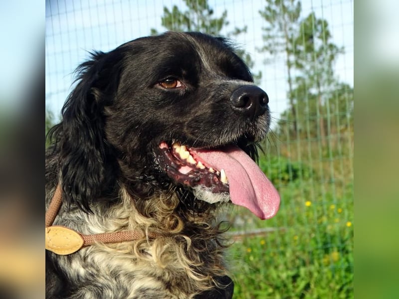 Xico – ein unkomplizierter Begleiter