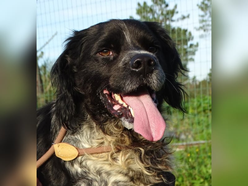 Xico – ein unkomplizierter Begleiter