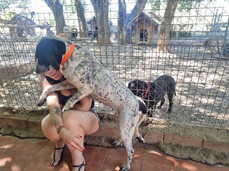 Süße KLEO-sucht dringend liebevolles Zuhause, nachdem ihre Mama ein Zuhause gefunden hat