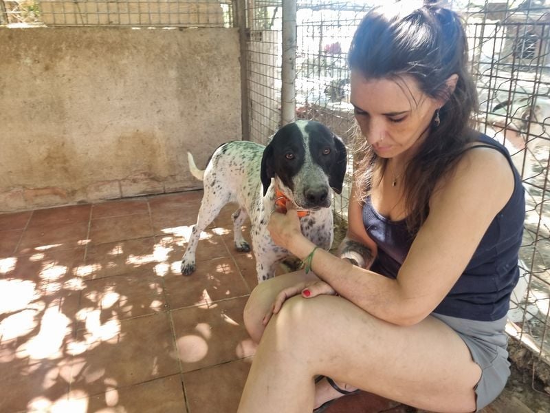 Süße KLEO-sucht dringend liebevolles Zuhause, nachdem ihre Mama ein Zuhause gefunden hat