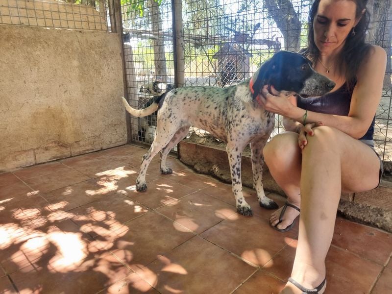 Süße KLEO-sucht dringend liebevolles Zuhause, nachdem ihre Mama ein Zuhause gefunden hat