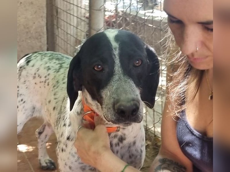 Süße KLEO-sucht dringend liebevolles Zuhause, nachdem ihre Mama ein Zuhause gefunden hat