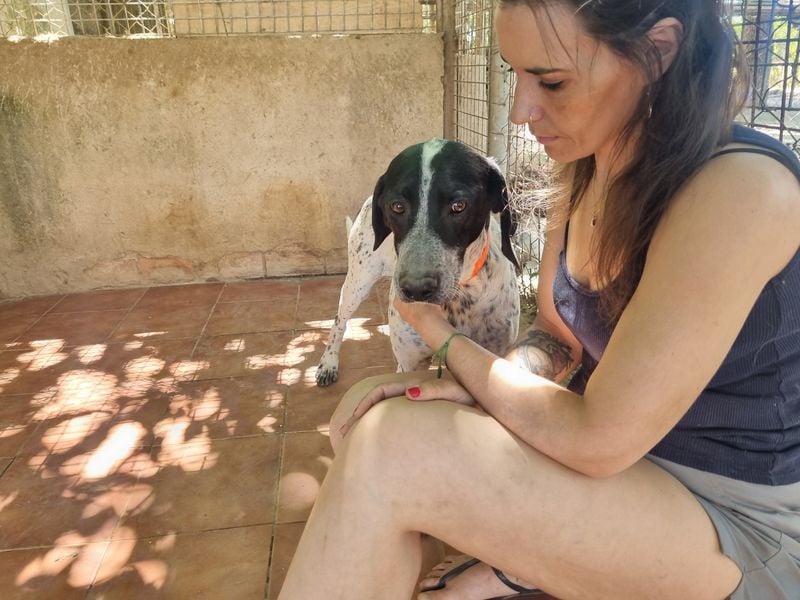 Süße KLEO-sucht dringend liebevolles Zuhause, nachdem ihre Mama ein Zuhause gefunden hat