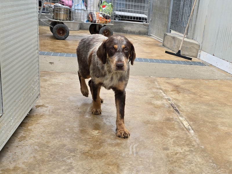 Lella: auch Mamas brauchen Liebe