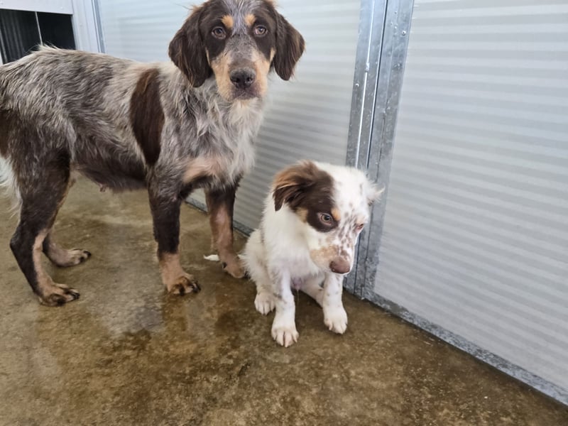 Lella: auch Mamas brauchen Liebe