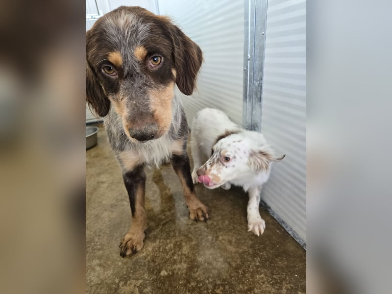 Lella: auch Mamas brauchen Liebe