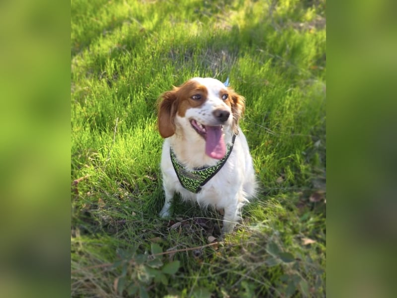 Emma sucht ein Zuhause