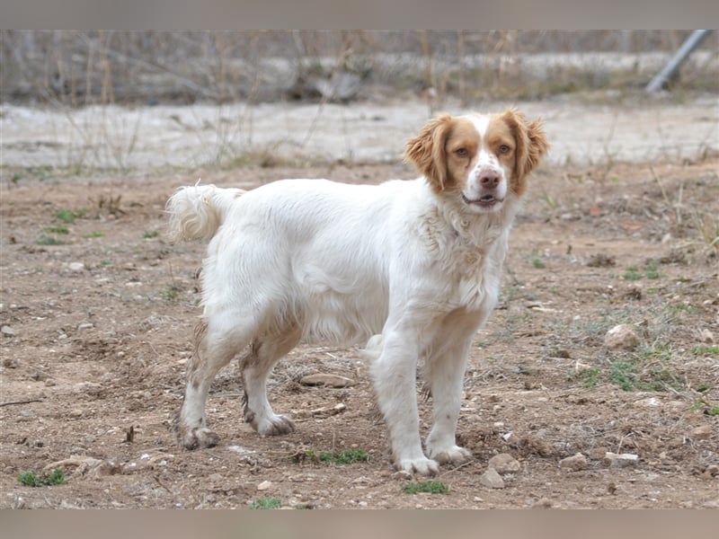 ALMA wurde in den Bergen gefunden...