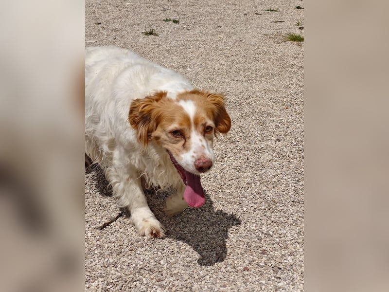 ALMA wurde in den Bergen gefunden...