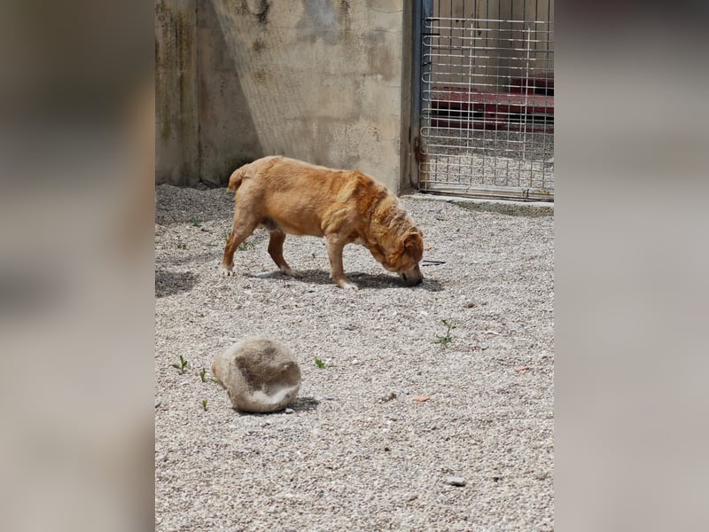 ALMA wurde in den Bergen gefunden...