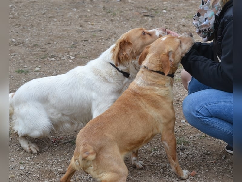 ALMA wurde in den Bergen gefunden...