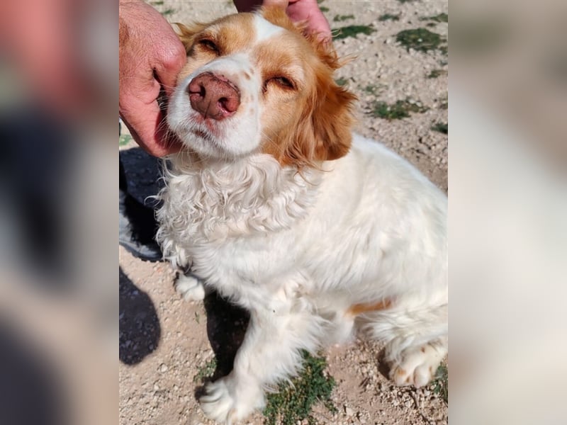 ALMA wurde in den Bergen gefunden...