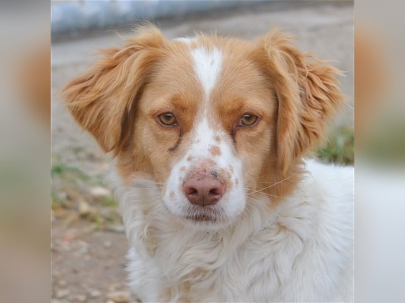 ALMA wurde in den Bergen gefunden...