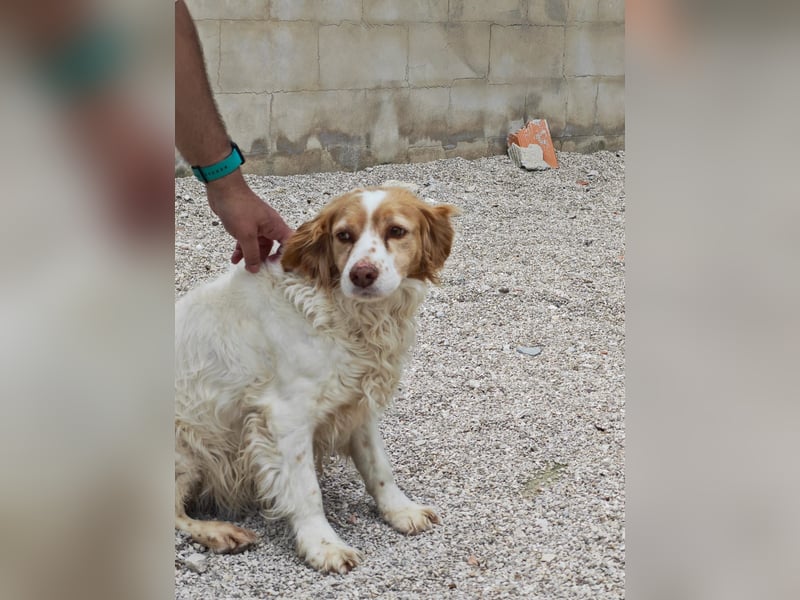 ALMA wurde in den Bergen gefunden...