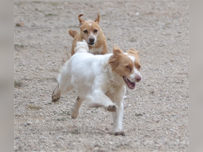 ALMA wurde in den Bergen gefunden...