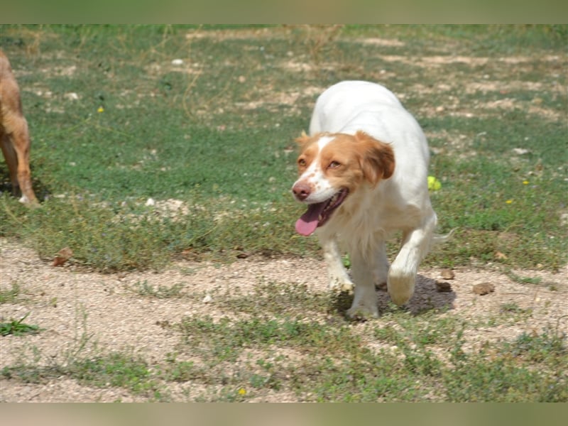 ALMA wurde in den Bergen gefunden...