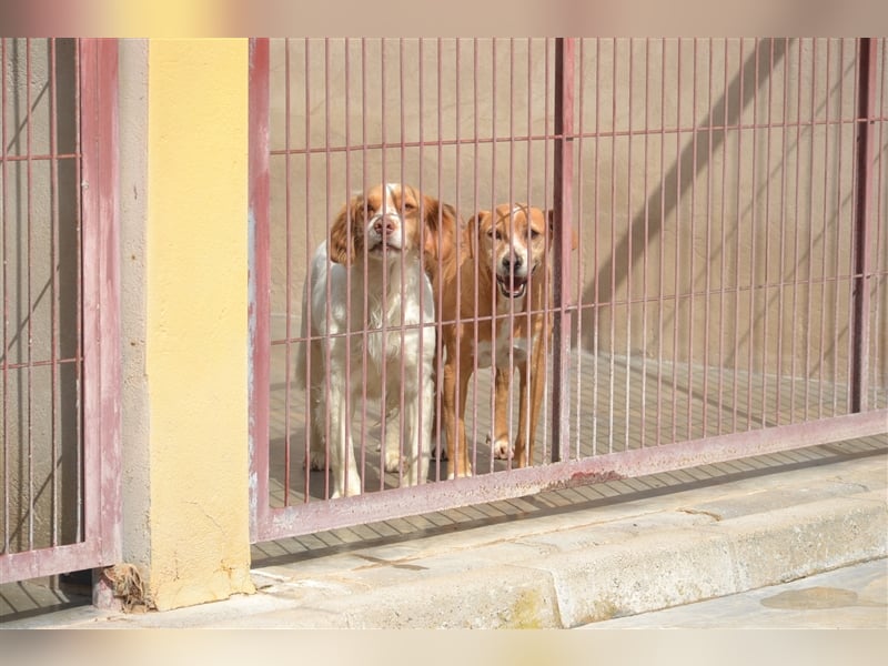 ALMA wurde in den Bergen gefunden...