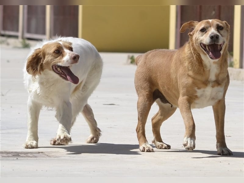 ALMA wurde in den Bergen gefunden...