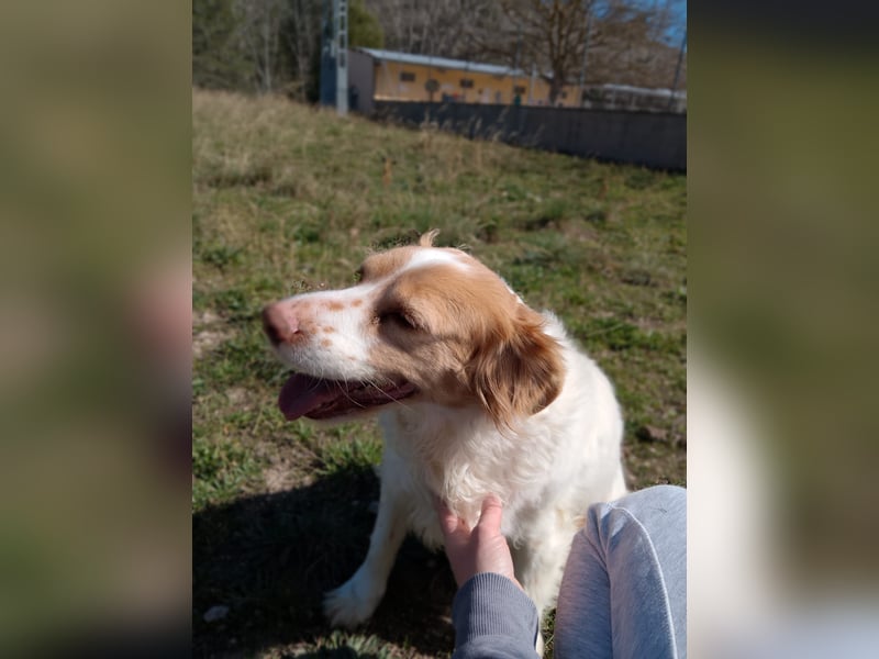 ALMA wurde in den Bergen gefunden...