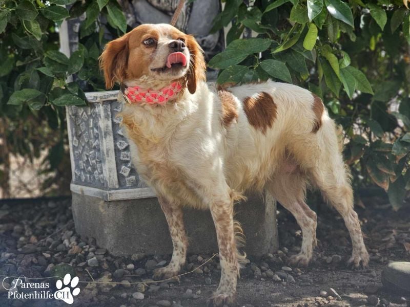 Violet ist ein wahrer Goldschatz