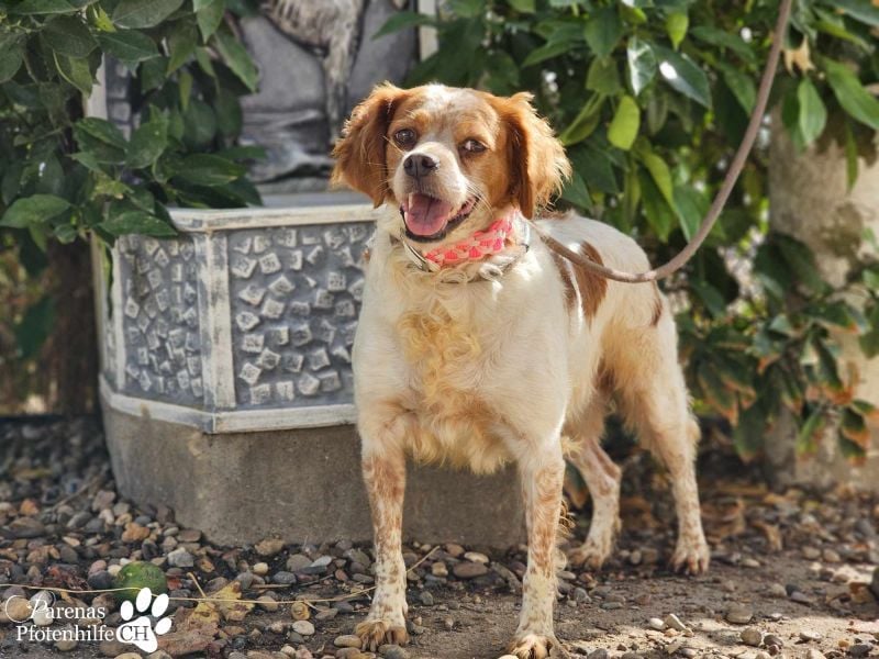 Violet ist ein wahrer Goldschatz