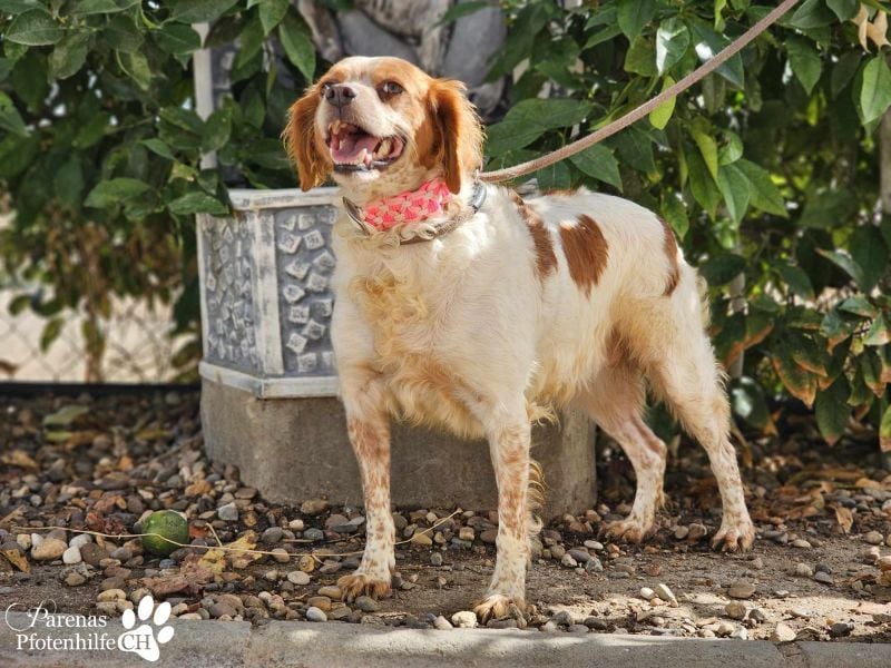 Violet ist ein wahrer Goldschatz