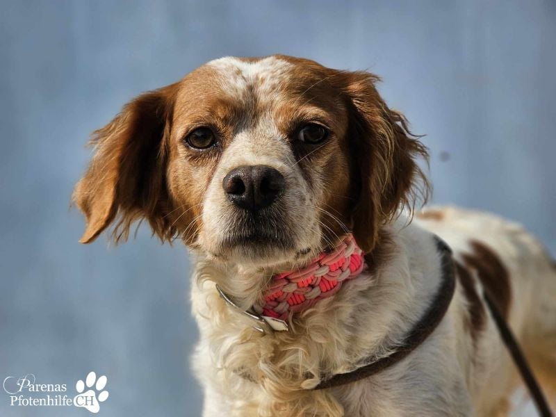 Violet ist ein wahrer Goldschatz