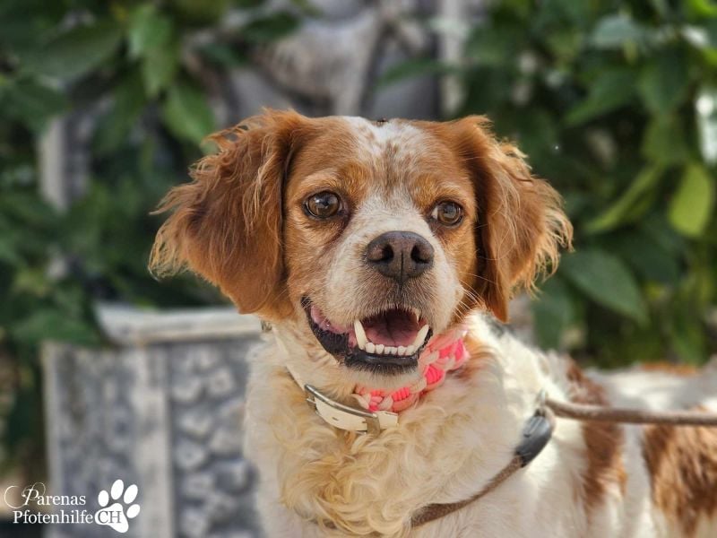 Violet ist ein wahrer Goldschatz