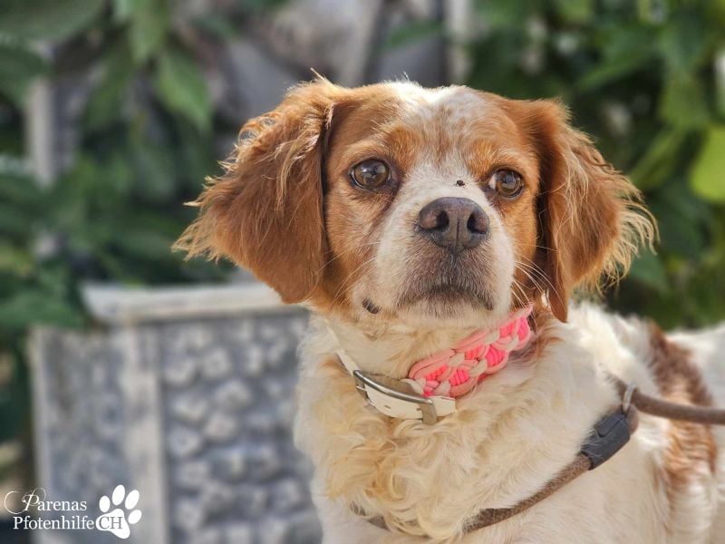 Violet ist ein wahrer Goldschatz