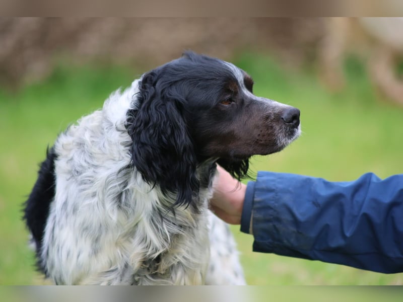 Eros- Nähe, Vertrauen und einfach dazugehören