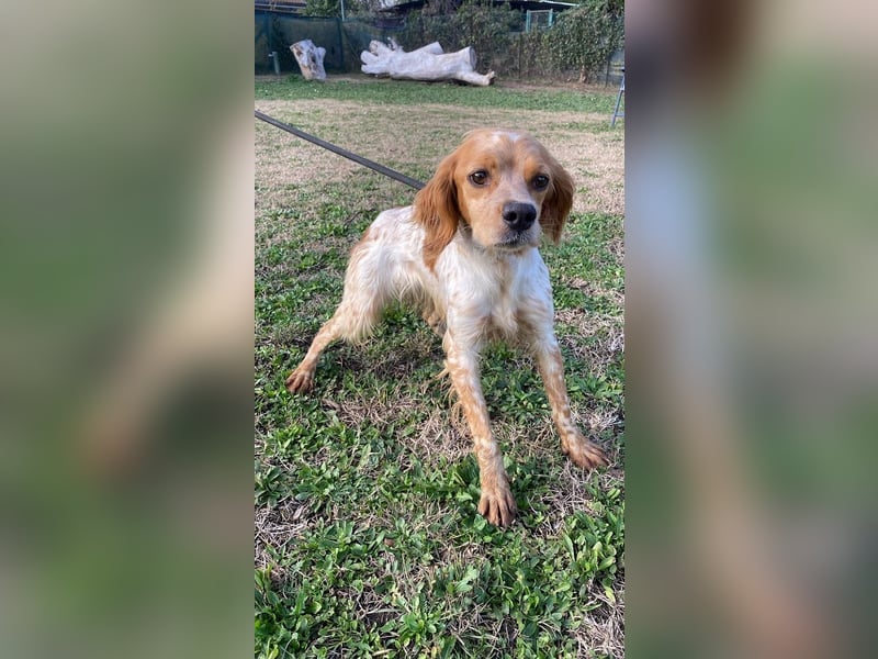 Uliana - Der Sinn des Lebens....