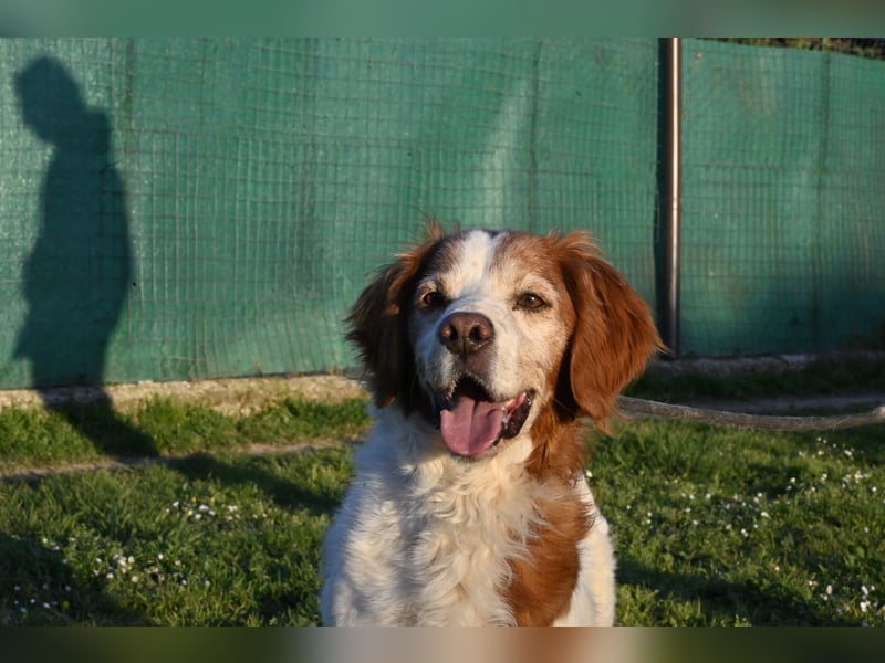 Giotto - wer sagt eigentlich, dass Abenteuer ein Alter haben?