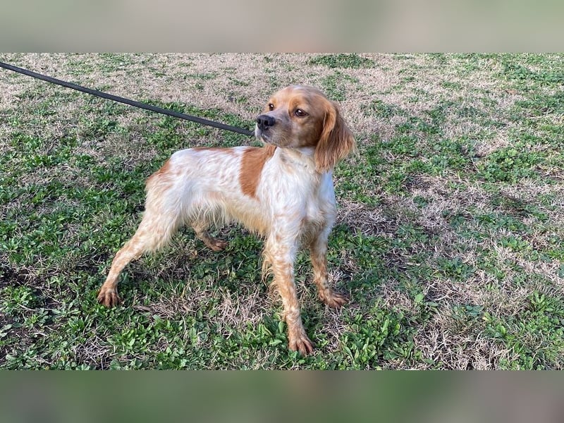 Uliana - Der Sinn des Lebens....